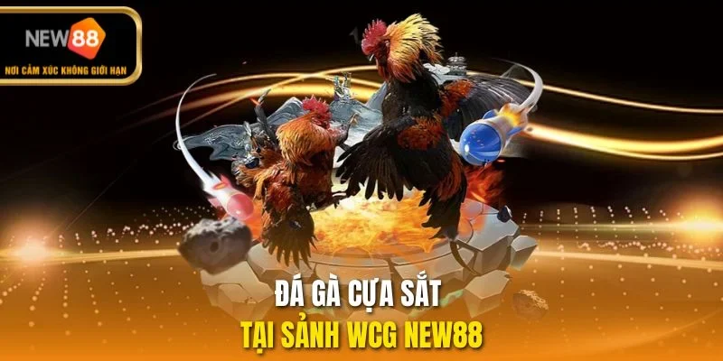 Đá gà cựa sắt tại sảnh WCG NEW88
