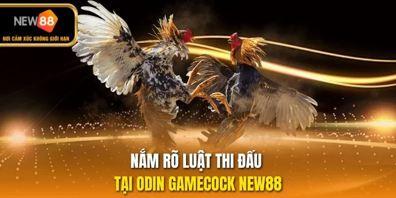 Nắm rõ luật thi đấu tại Odin GameCock NEW88